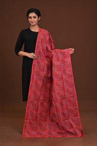 Silk Block Kantha Dupatta